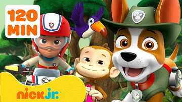 Paw Patrol | ¡Atrevidos Rescates en la Naturaleza de PAW Patrol! 🐵 120 Minutos | Nick Jr. en Español