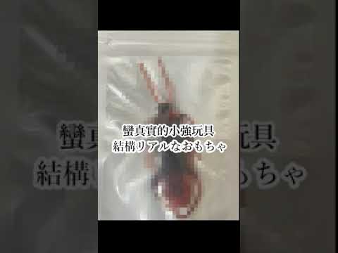 春雨麗女的整人大作戰 整起自己的推也毫不手軟www Shorts あおぎり高校 Vtuber中文 春雨麗女 我部りえる