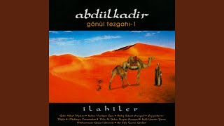Bir Çift Turna Gördüm — Abdulkadir kapak görseli