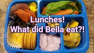 Week 30  What She Ate  School Lunches  Bento Box Style  Kindergarten Lunches  Before and After