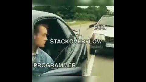 Stack Overflow: The Dev