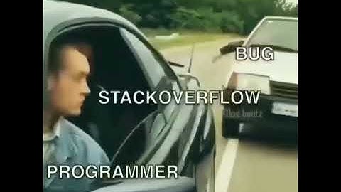 Stack Overflow: The Dev