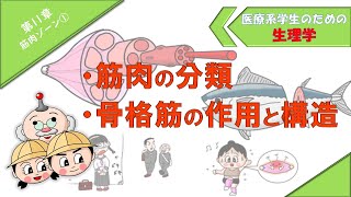新生理科学大系 4 筋肉の生理学 新生理科学大系 4 筋肉の生理学 Amazon.co.jp: 新生理科学大