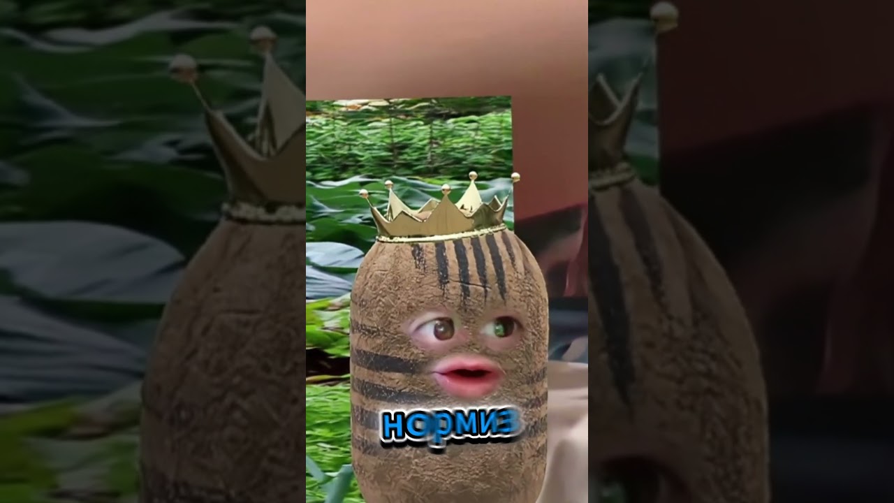 Типичный выбор мужика 