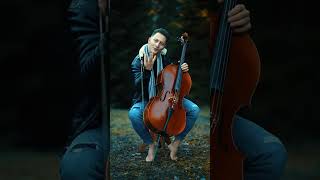 Insomnia Cello 🎻#cello #insomnia #faithless #music #fyp