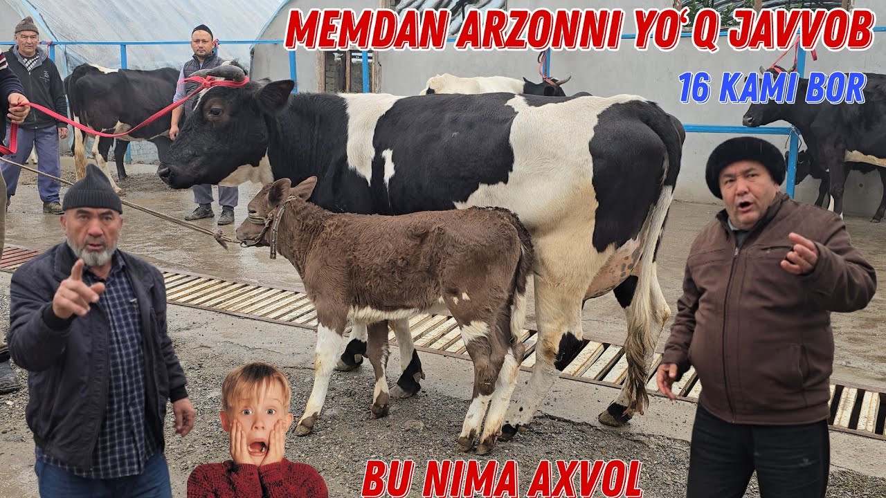 Ajoyib etuk porno Haqiqatan ham katta kokrakli yosh jojalar