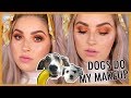 MY DOGS PICK MY MAKEUP!! 🐶🐼 Makeup Challenge 💕