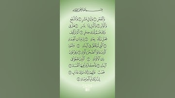 سورة الفجر كاملة 🌷 و الفجر و ليال عشر  🌷القرآن الكريم 🌷  quran karim