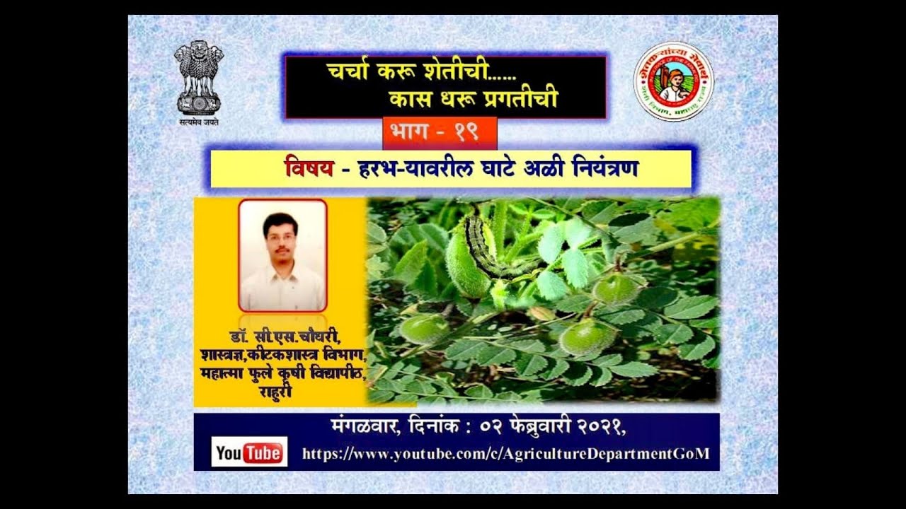 वेबिनार मालिका भाग-१९ हरभरा घाटे अळी नियंत्रण