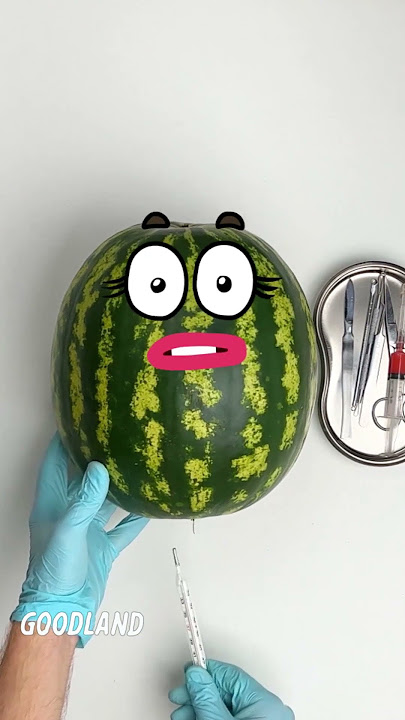 Goodland | Watermelon gives birth 😳 #goodland #shorts #doodles #doodlesart #animation