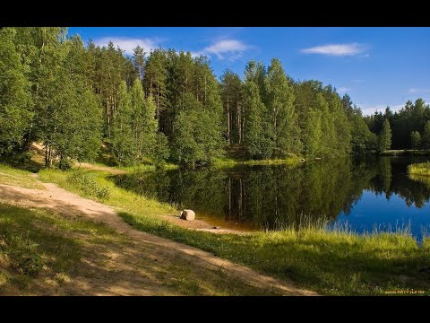 №18 Гармонизация потоков держащих упругость структуры физического тела