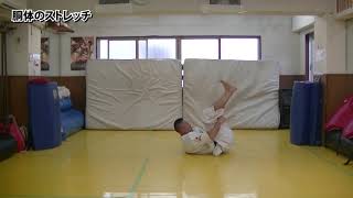 【新極真会】塚本支部長の胴体のストレッチと実戦への応用(空手LIFE 2021年3-4月号) SHINKYOKUSHINKAI KARATE 【新極真会】塚本支部長の胴体のストレッチと実戦への応用(空手LIFE 2021年3-4月号) SHINKYOKUSHINKAI KARATE