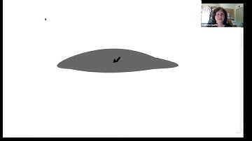 Mask Layer in Animate 2021