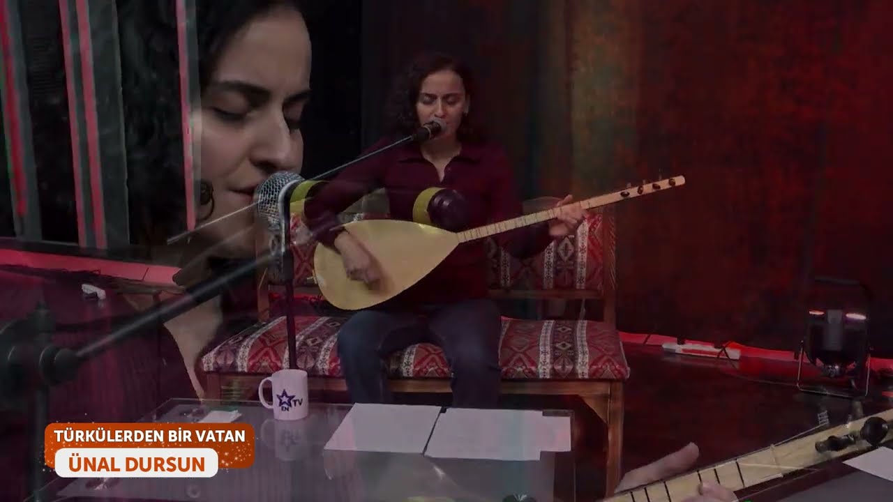 Dilan BAL - Aşağıdan Gelen Telli Turnam