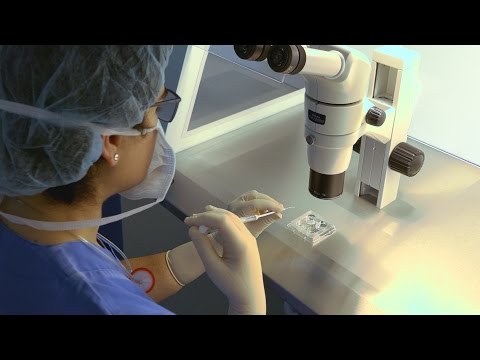Video: Come si sviluppano gli embrioni?