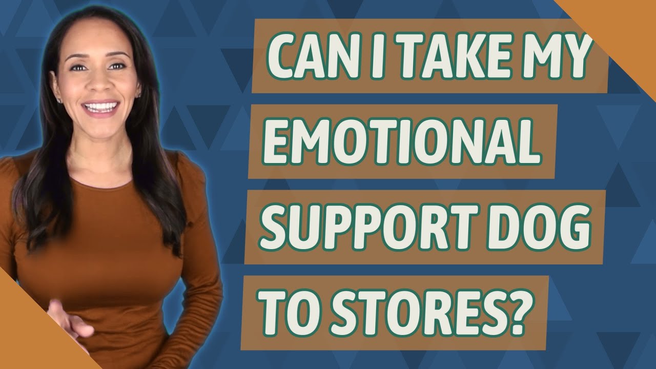 Can I Take My Emotional Support Dog To Stores?