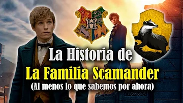 Did Rolf Scamander go to Hogwarts?