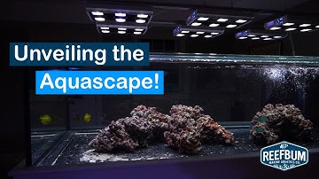 3 Glass Walls: My Peninsula Tank Build Journey, Ep #9 - The Aquascape