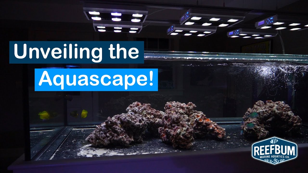 3 Glass Walls: My Peninsula Tank Build Journey, Ep #9 - The Aquascape