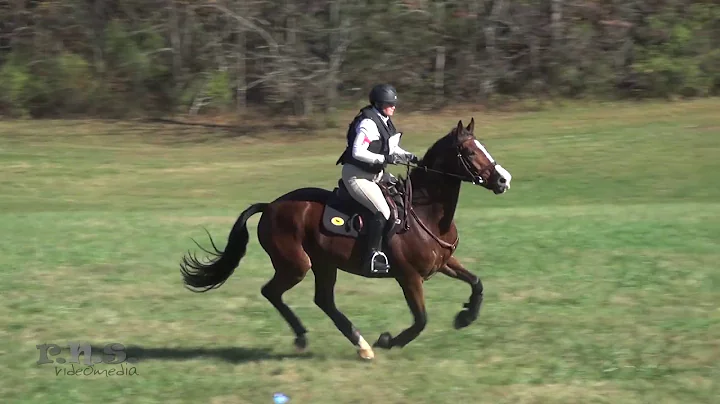Darrah Alexander & Shirsheen Du Carel Virginia Fal...