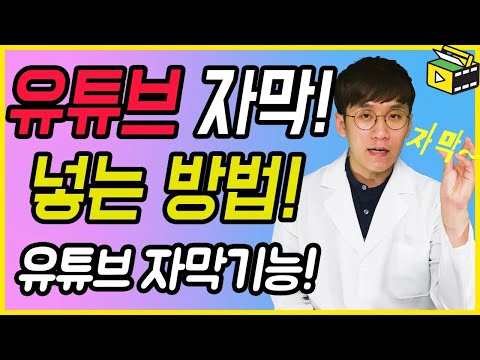 유튜브 자막넣기 어떻게 하는지 알려줄게요! 유튜브 자막기능 유튜브랩 허피디