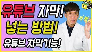 유튜브 자막넣기 어떻게 하는지 알려줄게요! 유튜브 자막기능 유튜브랩 허피디