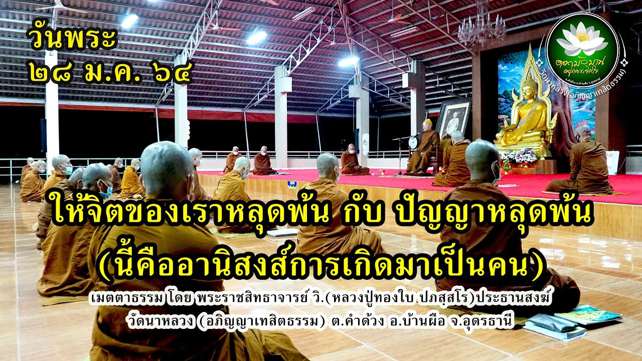 จิตหลุดพ้น กับ ปัญญาหลุดพ้น นี้คืออานิสงส์การเกิดมาเป็นคน (๒๘ ม.ค. ๒๕๖๔) | หลวงปู่ทองใบ ปภสฺสโร