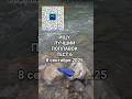 Тест 6. Ищу лучший поплавок Поплавок Высоцкого #поплавок_высоцкого #pronyra #fishing #жерлица #балда