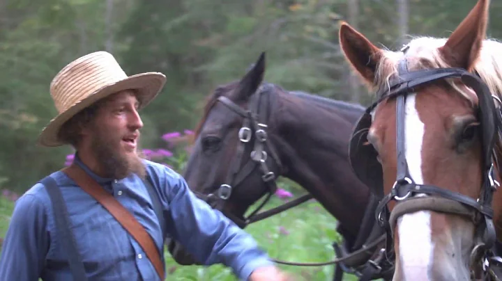 Horse Drawn Mowing with Titus -- Off Grid Living in Kentucky | Titus Morris