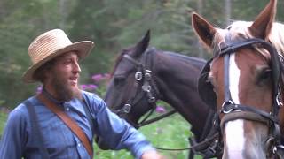 Horse Drawn Mowing with Titus -- Off Grid Living in Kentucky