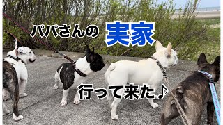 パパさんの実家に行ってきた日♪