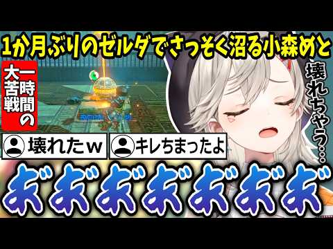 【ゼルダの伝説 BotW】1ヶ月ぶりのゼルダで早速沼って壊れかける小森めとｗ【ぶいすぽ/切り抜き】