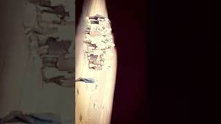 VID_20170408_131317.mp4