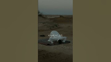 مواساة❤️ | سورة القلم | اسلام صبحي