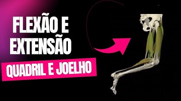 Flexão e extensão de QUADRIL e JOELHO + músculos ISQUIOTIBIAIS