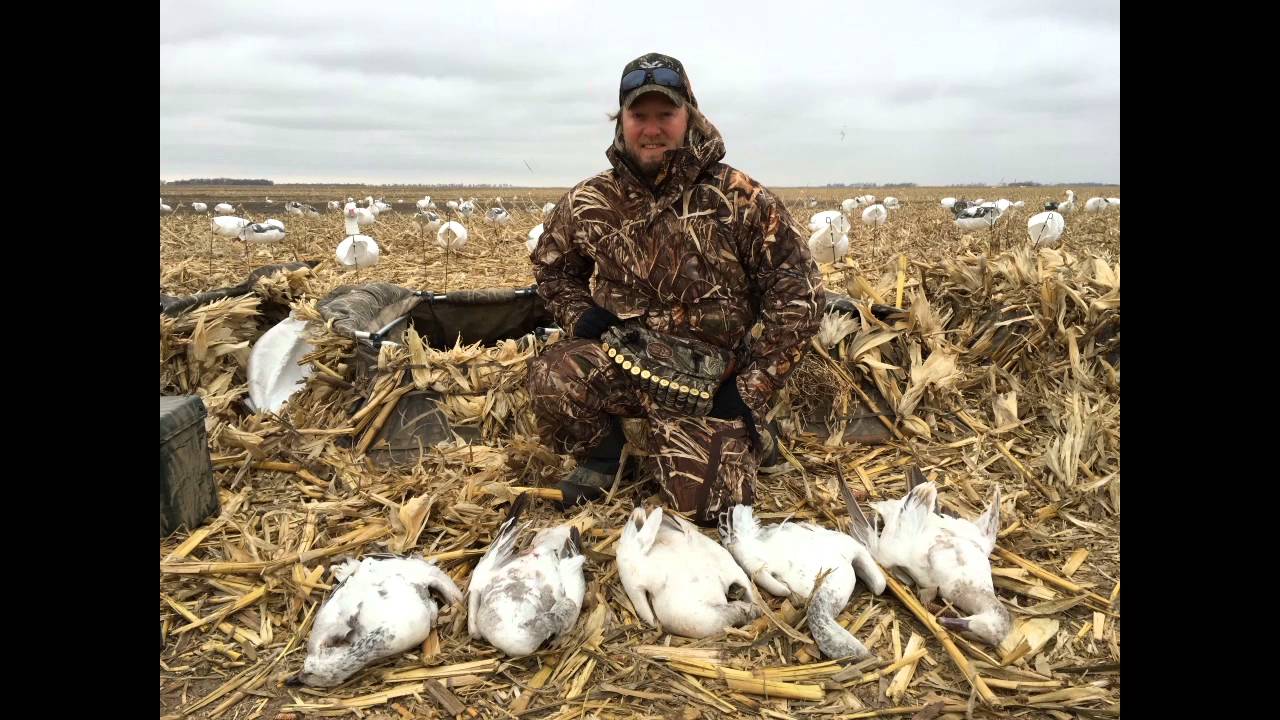 TOB 2016 South Dakota Snow Goose Hunt Part 1 YouTube