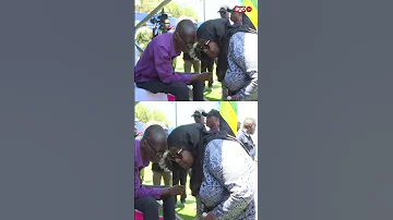RAIS SAMIA ALIVYOKUTANA NA MBUNGE MSTAAFU BWEGE Shots 