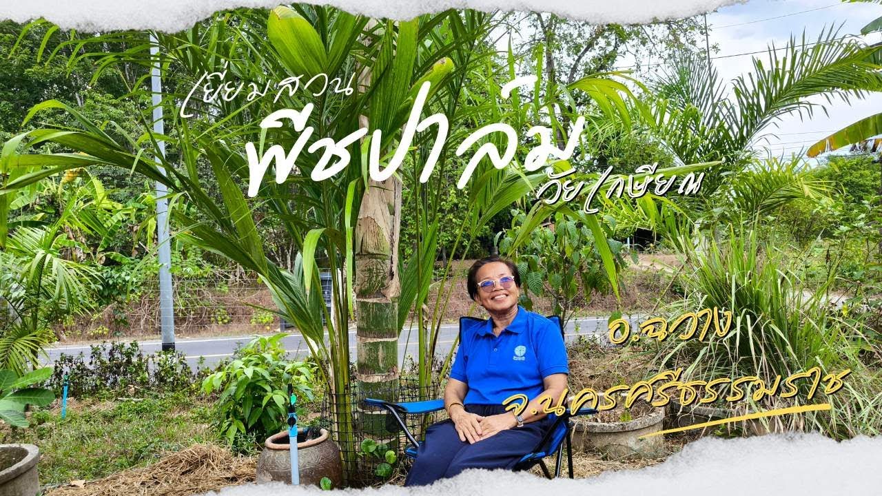 พีชปาล์ม ฉวาง จ.นครศรีธรรมราช