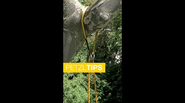 #PetzlTips : Safeguarding Trees with the TREESBEE friction saver