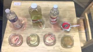 Candy Cane Science