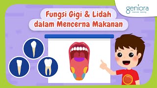 Sistem Pencernaan : Fungsi Gigi dan Lidah dalam Mencerna Makanan | IPA | SayaBisa