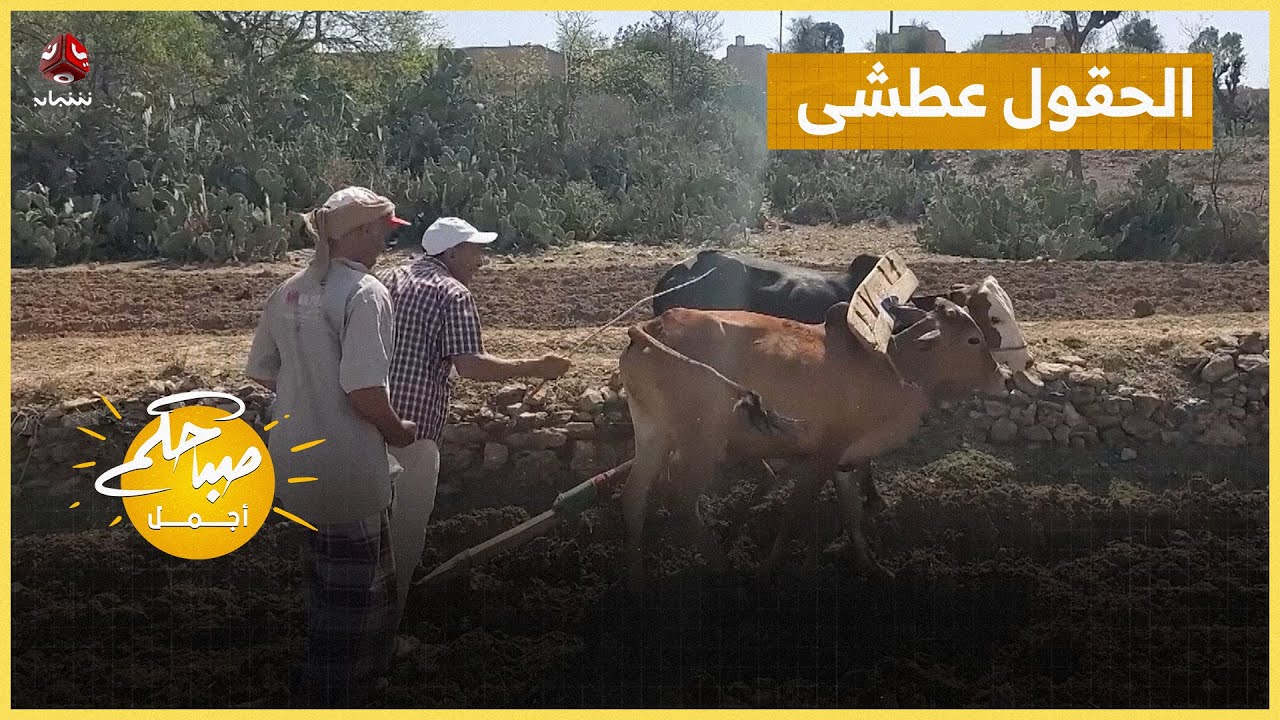 الحقول عطشى ... والمزارعون في صراع البقاء