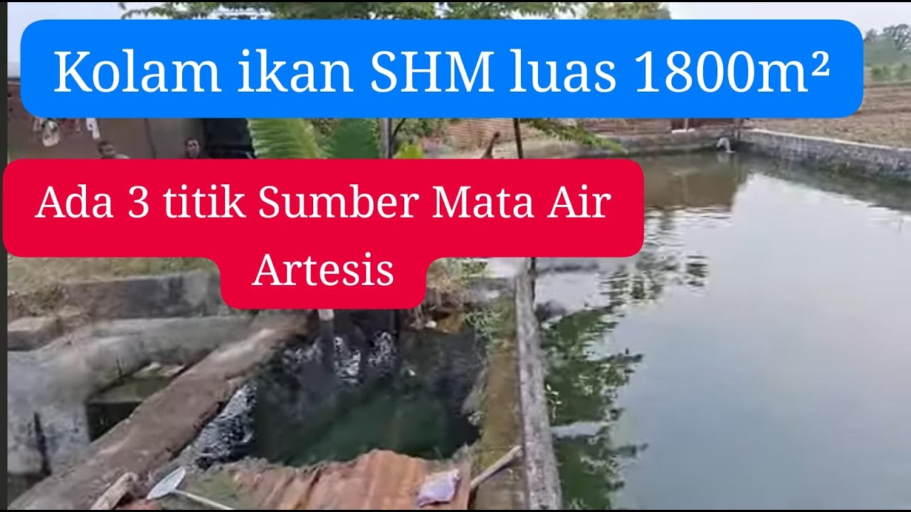 Kolam ikan ada sumber mata air artesisnya.  SHM luas 1800m² hrg 900jt. lokasi Karanganom Klaten.