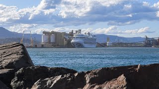 Ruby Princess kitchen believed to be source of COVID-19 outbreak