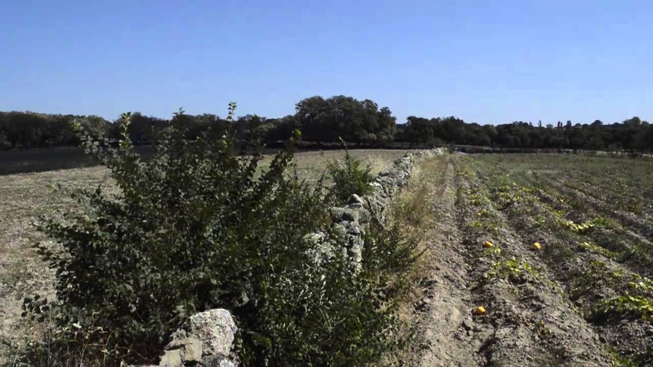 El día después del incendio en Villardiegua de la Ribera (Zamora)