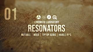 RESONATORS | Rings | PolyMoog | Tiptop Audio | Haible by R*S