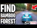 How to Find Bamboo Forest (Arashiyama Bamboo Forest Location) - Full Guide