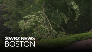 Storms bring heavy rain, damaging winds to parts of Massachusetts
