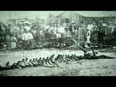 Вырезка из газеты: в 1934 в Китае упал дракон?