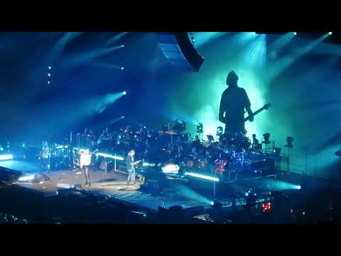 Live David Garrett